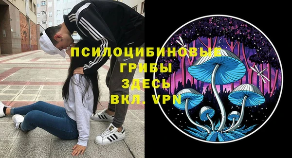 молекула духа Балабаново